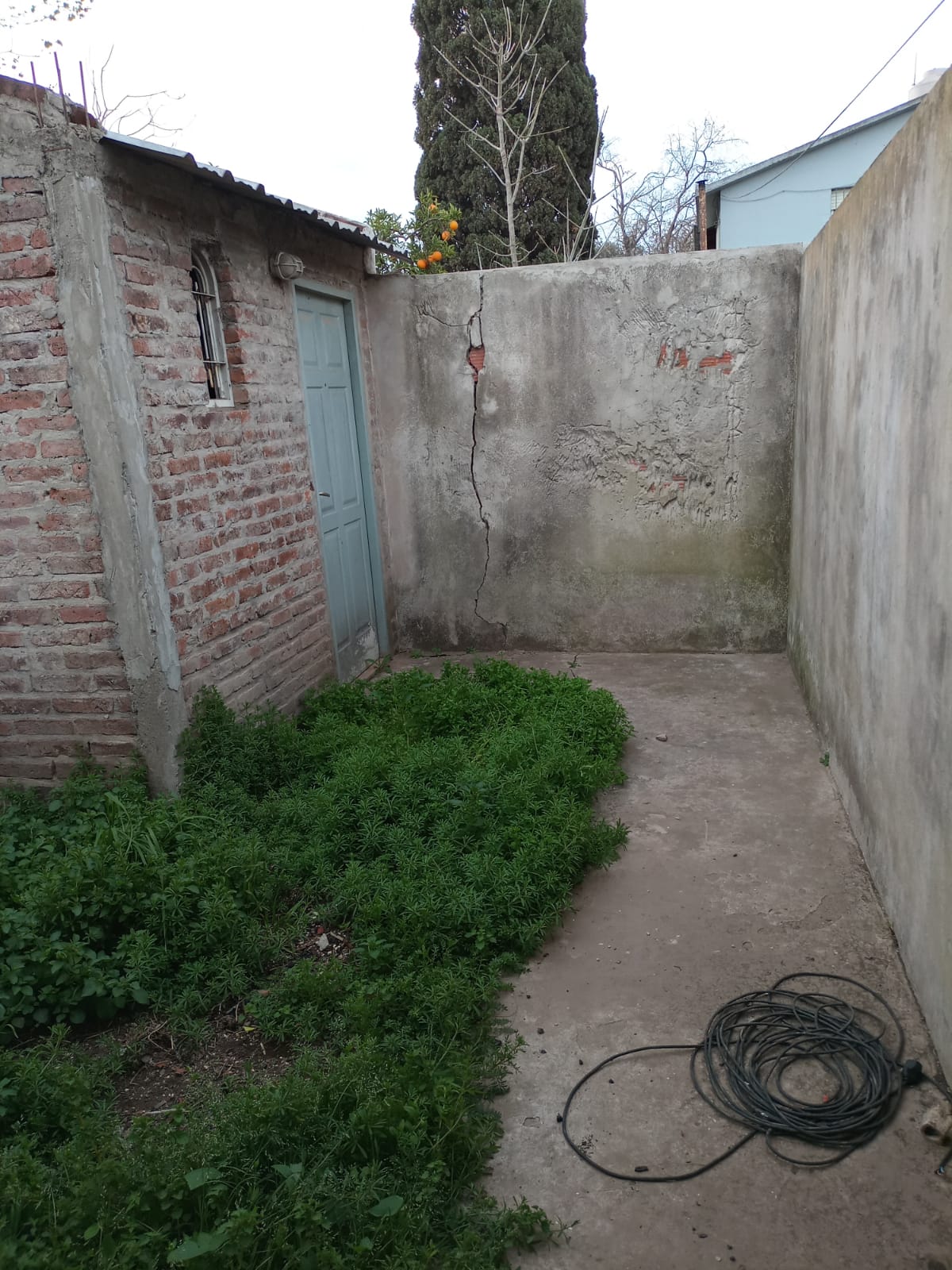 Imagen adicional 2